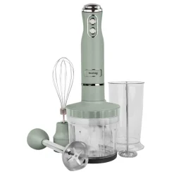 Blender ręczny 4 w 1 Huslog QuickBlend, 700 W, 4 końcówki, zielony