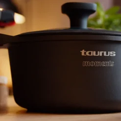 Garnek Taurus Great Moments, 20 cm, z pokrywką