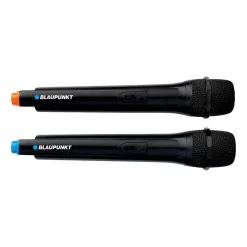 Głośnik imprezowy Blaupunkt PS1.1BD, 1000 W, funkcja karaoke, 2 mikrofony, czarny