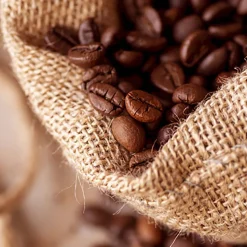 Kawa ziarnista Le Cafe Brazil, 250 g, intensywność 3/5