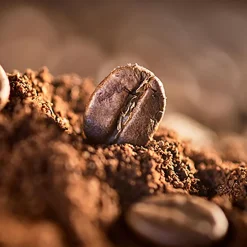 Kawa ziarnista Le Cafe Brazil, 500 g, intensywność 3/5