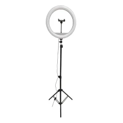 Lampa podłogowa LED Sanico Goldlux, do selfie, 36 cm, USB