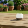 Lampa stołowa LED Sanico Goldlux Samba, USB-C, brązowa