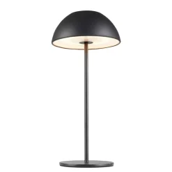 Lampa stołowa LED Sanico Goldlux Tanzania, USB-C, czarna