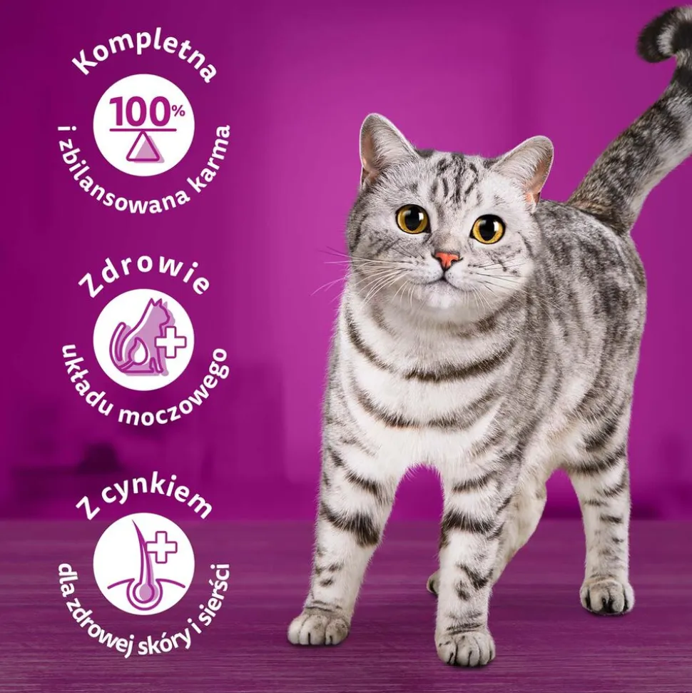 Mokra karma Whiskas, dla dorosłych kotów, z kaczką, 24 x 400 g
