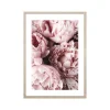 Obraz w ramie, 50 x 70 cm, peonie