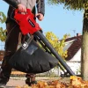 Odkurzacz do liści Einhell GC-EL 3024 E, 3000 W