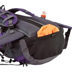 Plecak górski Wings Canastero, 30 l, fioletowy