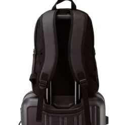 Plecak uniwersalny Wings Trogon, 18 l, czarny