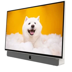 Telewizor przenośny 24” METZ 24MPE7000, FHD, Google TV, biały