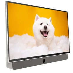 Telewizor przenośny 24” METZ 24MPE7000, FHD, Google TV, biały