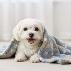 Zestaw dla psa Domarex Four Paws, koc i poduszka, szary w kolorowe łapki